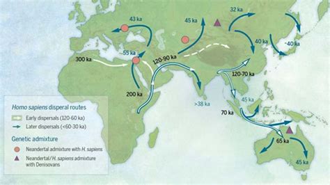  Eurasia Express: Bir İnsan Hikayesi ve Tarihi Yolculuk