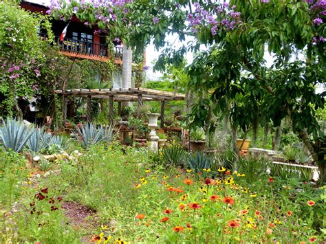  Jardín de Sueños: An Exploration of Mexican Botanical Imagination!