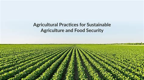  Improving Food Production in Africa: A Study on Sustainable Agricultural Practices _A Tapestry of Innovation and Hope Woven Through Practical Wisdom_