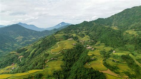  Rural Reforms: An Economic Analysis - Vietnam'in Tarımsal Dönüşümü Üzerine Derinlemesine Bir Bakış